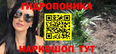 ALPHA PVP Гатчина