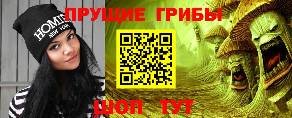 Орёл  Галлюциногенные грибы Cubensis  Вход с VPN 